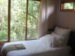 Single bed at 13 Mar e Sol looking into the dune forest. Mar e Sol Pictures